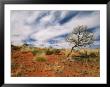 Sand Dune Formations At Uluru National Park by Richard Nowitz Limited Edition Print