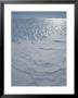 A Bare Ice Glacier And Wind Carved Sastrugi Snow On Antarctic Icecap by Gordon Wiltsie Limited Edition Print
