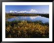 Fall Colors, Lake, Mount Mckinley, And The Alaska Range by Rich Reid Limited Edition Print