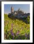Segovia, Castilla Y Leon, Spain by Peter Adams Limited Edition Print