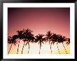 Sunset Kohala Coast, Hawaii by Peter French Limited Edition Print