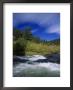 Trout Stream At Snake River Near Jackson Hole, Wy by Bruce Clarke Limited Edition Print