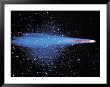 Halley's Comet by Robert Marien Limited Edition Pricing Art Print