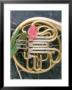 French Horn With A Tulip by Martin Fox Limited Edition Pricing Art Print