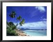 Palm Trees And Ocean, La Digue, Seychelles by David Ball Limited Edition Print