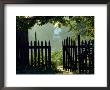 Garden Fence, Ipswich, Ma by Mark Hunt Limited Edition Print