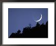 Setting Crescent Moon, Zion National Park, Ut by Rick Poley Limited Edition Print