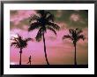 Silhouette Of Runner On Beach, Ft. Lauderdale, Fl by Maria Taglienti Limited Edition Print