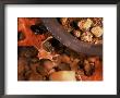 Gold Nuggets And Dust In Pan By Rocky Stream by Eric Kamp Limited Edition Print