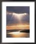 Sunrise Over Bar Harbor, Cadillac Mountain, Me by Elizabeth Delaney Limited Edition Print