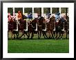 Horseracing, Start Gate, Australia by Peter Walton Limited Edition Pricing Art Print