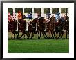 Horseracing, Start Gate, Australia by Peter Walton Limited Edition Print