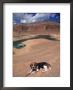 Beagle Dog At Lake Powell, Ut by Lonnie Duka Limited Edition Pricing Art Print