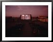 A Walk-In Picture Garden In The Kimberley Town Of Derby, An Audience Watches An Early Evening Film by Sam Abell Limited Edition Print