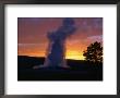 Old Faithful Geyser At Sunset, Yellowstone National Park, Usa by Carol Polich Limited Edition Pricing Art Print
