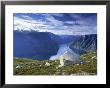 Aurlandsfjord, Western Fjords, Norway by Gavin Hellier Limited Edition Print