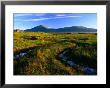 Peat Bogs, Rannoch Moor, Scotland by Grant Dixon Limited Edition Pricing Art Print