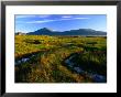 Peat Bogs, Rannoch Moor, Scotland by Grant Dixon Limited Edition Print