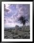 Excavations Of The Ancient Biblical City Of Megiddo, Megido by Richard Nowitz Limited Edition Print