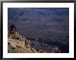 Male Mountain Biking In The Pryor Mountains Of Wyoming by Bobby Model Limited Edition Print