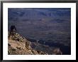 Male Mountain Biking In The Pryor Mountains Of Wyoming by Bobby Model Limited Edition Pricing Art Print