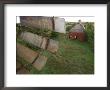 Turn-Of-The-Century Peg Barn As Seen Through A Windmill by Joel Sartore Limited Edition Print