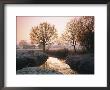 Winter Dawn On The River Bourne, Chobham, Surrey, England, Uk by Roy Rainford Limited Edition Print