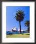 Sydney Opera House, Sydney, New South Wales, Australia by Fraser Hall Limited Edition Print