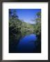 Everglades, Noosa, Queensland, Australia by Rob Mcleod Limited Edition Print