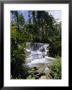 Dunns River Falls, Jamaica, Caribbean, West Indies, Central America by Robert Harding Limited Edition Print