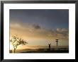 Silhouette Of Girl Stretching At Sunset, Seattle, Washington. United States Of America by Aaron Mccoy Limited Edition Print