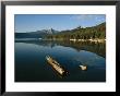 Calm Water With Submerged Log On A Mountain Lake by Michael S. Lewis Limited Edition Print