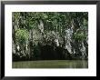 Vines On Rocky Waterside Cliffs At The Entrance To A Cave by Tim Laman Limited Edition Pricing Art Print