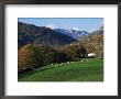 Chapel Stile, Great Langdale, Lake District National Park, Cumbria, England, United Kingdom by Roy Rainford Limited Edition Print