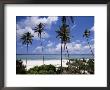 Matemwe Beach, Zanzibar, Tanzania, East Africa, Africa by Yadid Levy Limited Edition Pricing Art Print