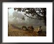 Village Scene, Vaishali, India by James Gritz Limited Edition Print