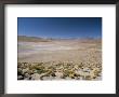 Altiplano And High-Level Volcanoes, El Tatio Basin, Above Calama, Atacama Desert, Chile by Tony Waltham Limited Edition Print