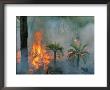 A Controlled Fire Helps Prevent Flooding Early In The Wet Season by Randy Olson Limited Edition Print