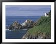 Heceta Head Lighthouse And Seastacks, Cape Sebestian, Oregon, Usa by John & Lisa Merrill Limited Edition Print