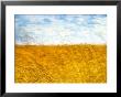 Golden Grass In The Wind by Robert Cattan Limited Edition Pricing Art Print