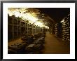 Bottles In The Treasure Chamber, Maison Louis Jadot, Beaune, Cote D'or, Burgundy, France by Per Karlsson Limited Edition Print