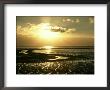 The Wash At Sunset, View Across Mudflats And Channels Snett Isham, North Norfolk by Mark Hamblin Limited Edition Print