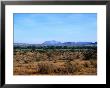 Samburu Plains, Kenya by Elizabeth Delaney Limited Edition Print