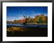 Sport Fisherman And His Atlantic Salmon Prey by Paul Nicklen Limited Edition Print