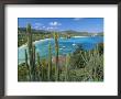 Cactus Plants And Bay Of St. Jean, St. Barthelemy, Caribbean, West Indies, Central America by Fred Friberg Limited Edition Print