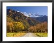 Gravel Road, Matukituki Valley, Central Otago, South Island, New Zealand, Pacific by Jochen Schlenker Limited Edition Print