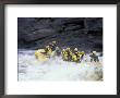 Rafters In Cribworks On The Penobscot, Northern Forest, Maine, Usa by Jerry & Marcy Monkman Limited Edition Print