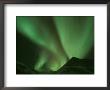 Northern Lights, Arctic National Wildlife Refuge, Alaska Usa by Steve Kazlowski Limited Edition Pricing Art Print