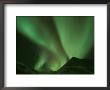 Northern Lights, Arctic National Wildlife Refuge, Alaska Usa by Steve Kazlowski Limited Edition Print