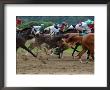 Race Horses In Action, Saratoga Springs, New York, Usa by Lisa S. Engelbrecht Limited Edition Print